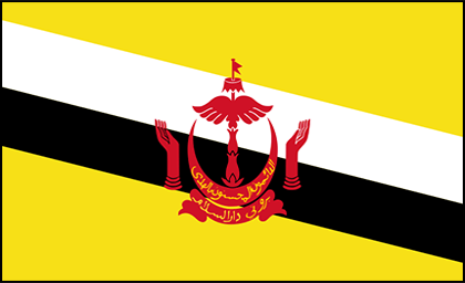 brunei flag